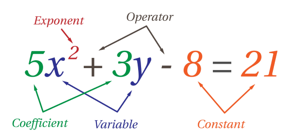 Quiz: Test Your Polynomial Transformation Skills